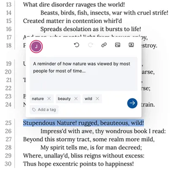 Decorative screenshot of a Recogito Studio